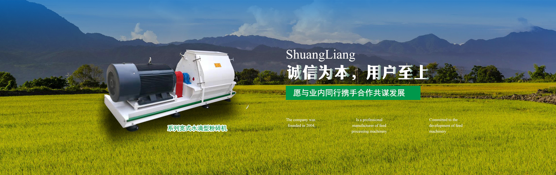 Tianmen Shuangliang Machinery Manufacturing Co., Ltd. 